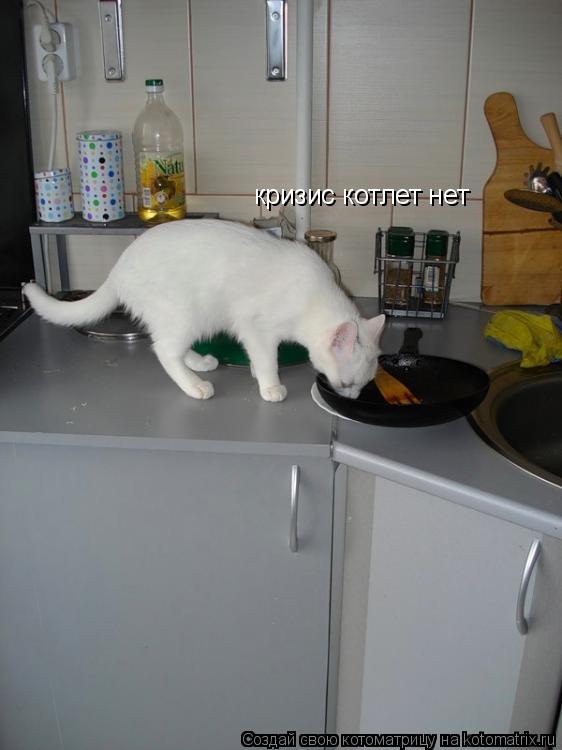 кризис котлет нет... Котоматрица: кризис котлет нет