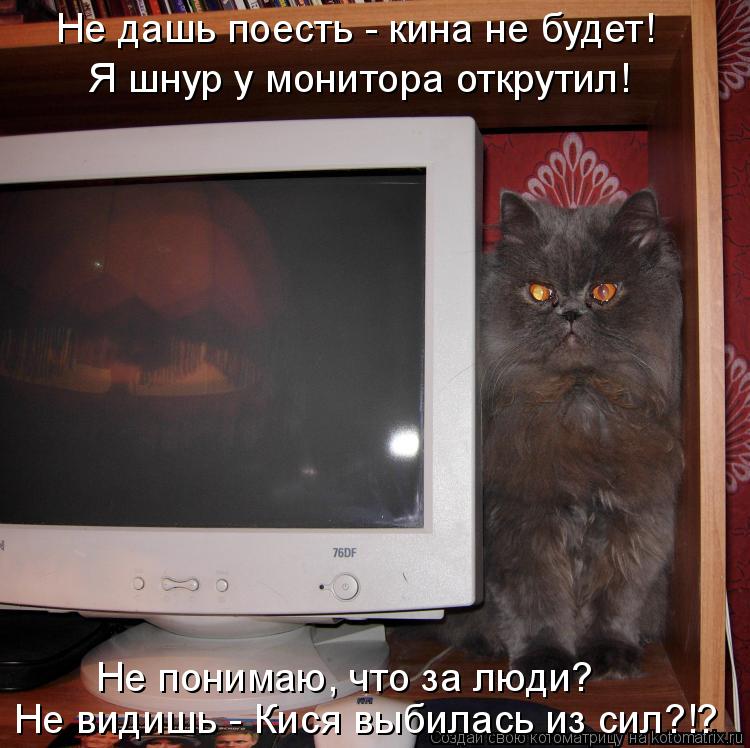Не дашь поесть - кина не будет! Я шнур у монитора открутил! Не понимаю, что за люди? Не видишь - Кися... Котоматрица: Не дашь поесть - кина не будет! Я шнур у монитора открутил! Не понимаю, что за люди? Не видишь - Кися выбилась из сил?!?