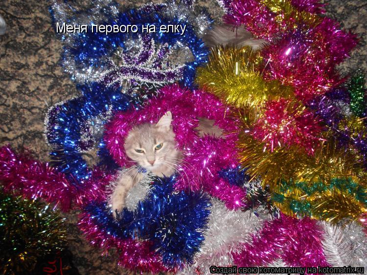 Меня первого на елку... Котоматрица: Меня первого на елку