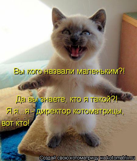 Котоматрица: Да вы знаете, кто я такой?! Я,я...я - директор котоматрицы, Вы кого назвали маленьким?! вот кто!