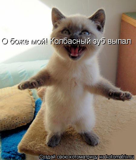 Котоматрица: О боже мой! Колбасный зуб выпал