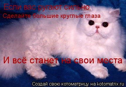 Если вас ругают сильно Сделайте большие круглые глаза И всё станет на свои места... Котоматрица: Если вас ругают сильно Сделайте большие круглые глаза И всё станет на свои места