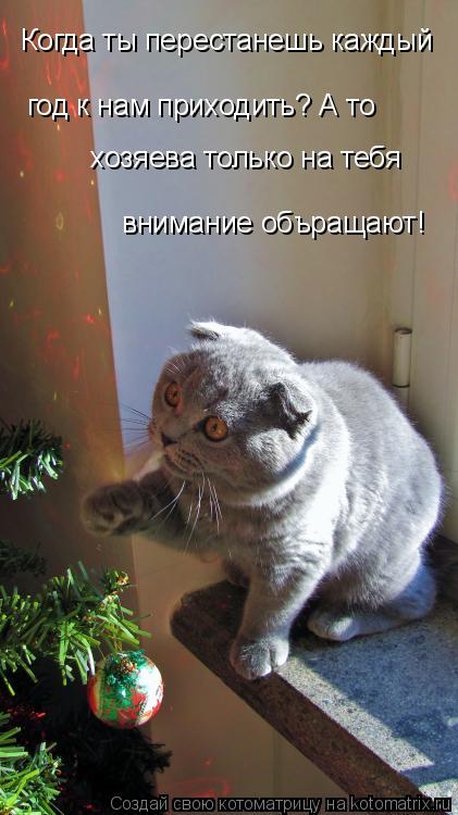 Когда ты перестанешь каждый год к нам приходить? А то хозяева только на тебя внимание объращают!... Котоматрица: Когда ты перестанешь каждый год к нам приходить? А то хозяева только на тебя внимание объращают!