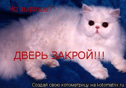Чо зыришь? ДВЕРЬ ЗАКРОЙ!!!... Котоматрица: Чо зыришь? ДВЕРЬ ЗАКРОЙ!!!