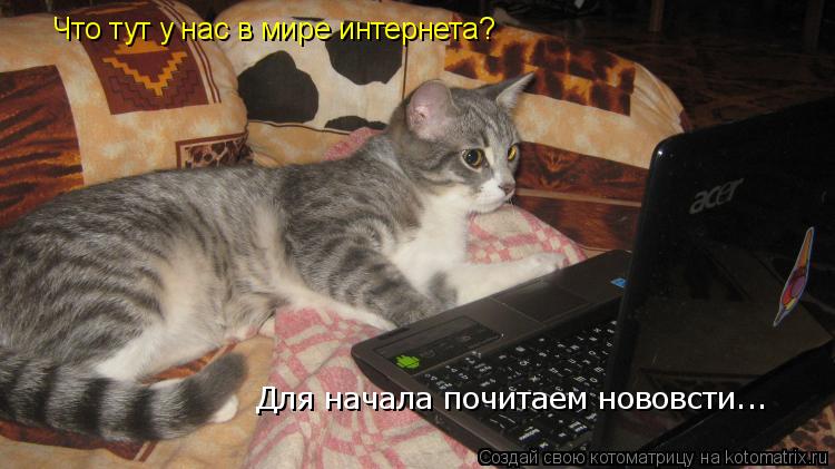 Что тут у нас в мире интернета? Для начала почитаем нововсти...... Котоматрица: Что тут у нас в мире интернета? Для начала почитаем нововсти...