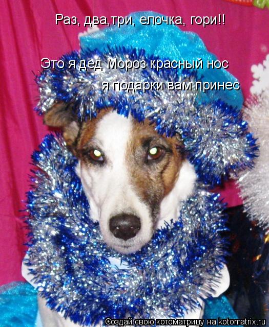 Раз, два,три, елочка, гори!! Это я дед Мороз красный нос я подарки вам принес... Котоматрица: Раз, два,три, елочка, гори!! Это я дед Мороз красный нос я подарки вам принес