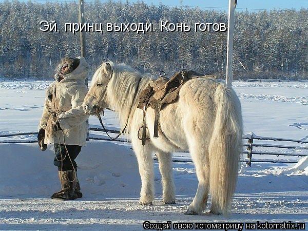 Эй, принц выходи. Конь готов... Котоматрица: Эй, принц выходи. Конь готов
