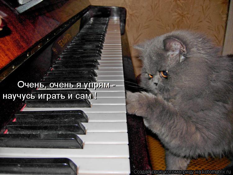 Очень, очень я упрям - научусь играть и сам !... Котоматрица: Очень, очень я упрям - научусь играть и сам !
