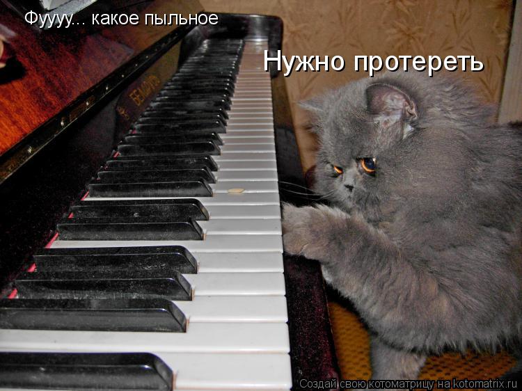 Фуууу... какое пыльное Нужно протереть... Котоматрица: Фуууу... какое пыльное Нужно протереть