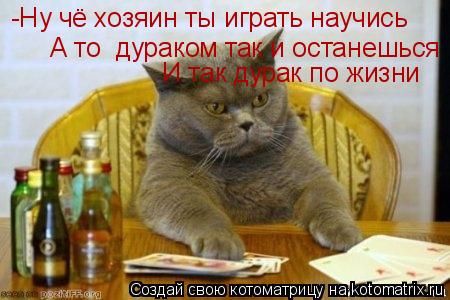 -Ну чё хозяин ты играть научись А то дураком так и останешься И так дурак по жизни... Котоматрица: -Ну чё хозяин ты играть научись А то дураком так и останешься И так дурак по жизни