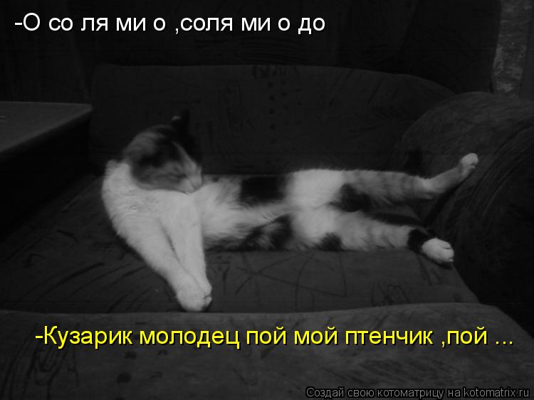 -О со ля ми о ,соля ми о до -Кузарик молодец пой мой птенчик ,пой ...... Котоматрица: -О со ля ми о ,соля ми о до -Кузарик молодец пой мой птенчик ,пой ...