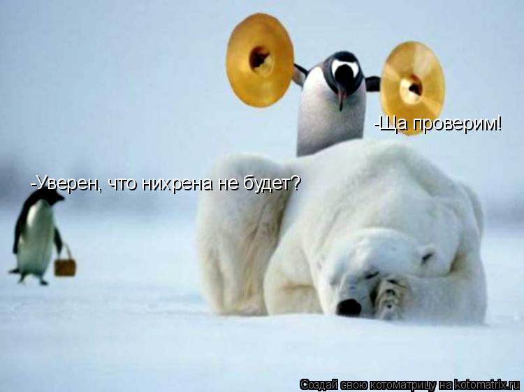 Котоматрица: -Уверен, что нихрена не будет? -Ща проверим!