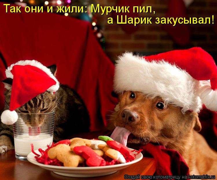 Котоматрица: Так они и жили: Мурчик пил,  а Шарик закусывал!