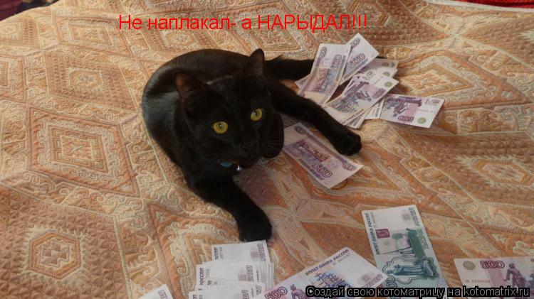Котоматрица: Не наплакал- а НАРЫДАЛ!!!