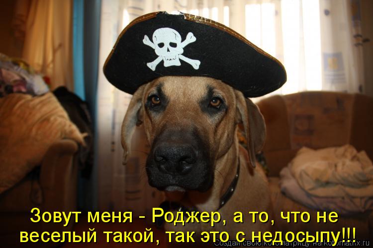 Котоматрица: Зовут меня - Роджер, а то, что не  веселый такой, так это с недосыпу!!!