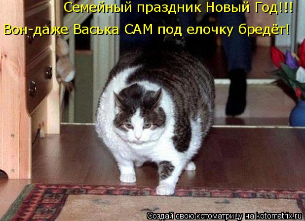 Котоматрица: Семейный праздник Новый Год!!! Вон-даже Васька САМ под елочку бредёт!