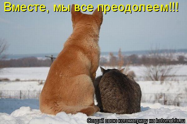 Котоматрица: Вместе, мы все преодолеем!!!