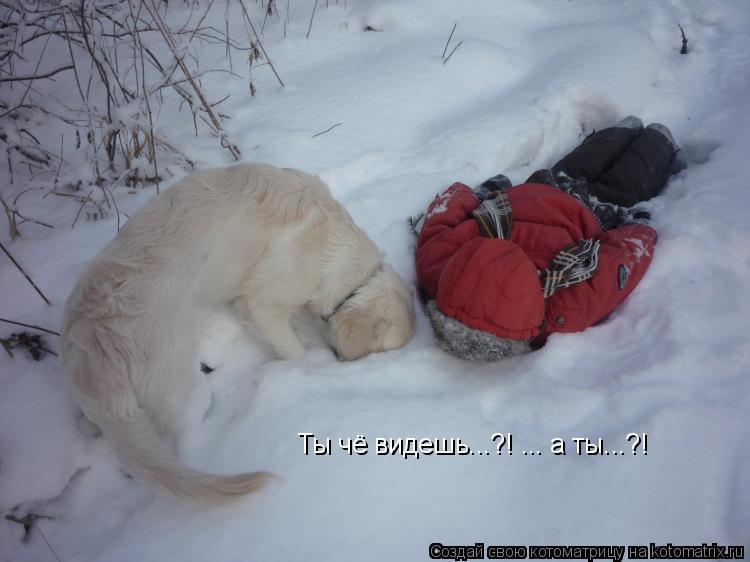 Котоматрица: Ты чё видешь...?! ... а ты...?!