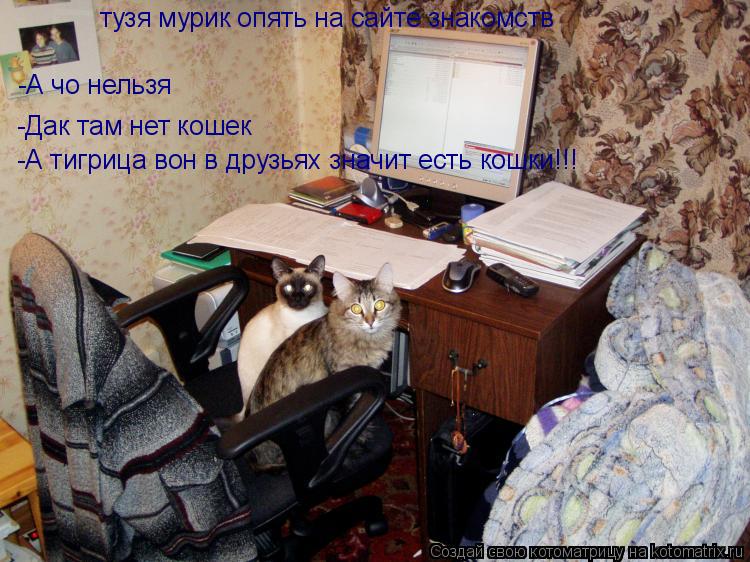 Котоматрица: -А чо нельзя тузя мурик опять на сайте знакомств -Дак там нет кошек -А тигрица вон в друзьях значит есть кошки!!!