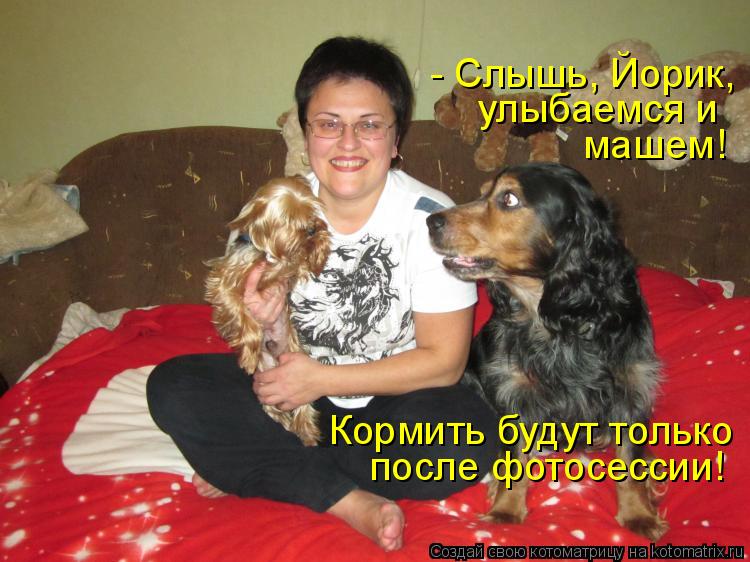 Котоматрица: - Слышь, Йорик,  улыбаемся и  машем! Кормить будут только после фотосессии!