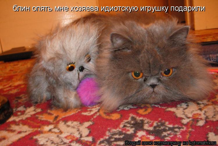 Котоматрица: блин опять мне хозяева идиотскую игрушку подарили