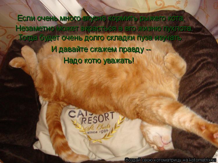 Котоматрица: Если очень много вкусно кормить рыжего кота, Незаметно может вкрасться в его жизню пухлота. Тогда будет очень долго складки пуза изучать. И 