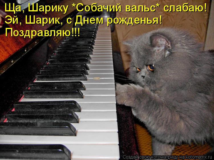 Котоматрица: Ща, Шарику *Собачий вальс* слабаю! Эй, Шарик, с Днем рожденья! Поздравляю!!!