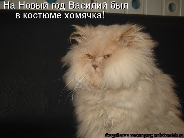 На Новый год Василий был в костюме хомячка!... Котоматрица: На Новый год Василий был в костюме хомячка!