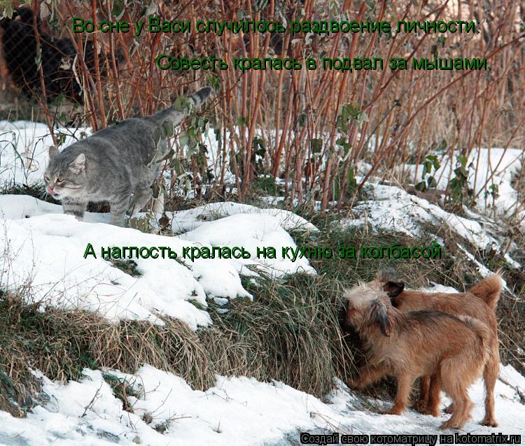 Совесть кралась в подвал за мышами. А наглость кралась на кухню за колбасой Во сне у Васи случилось р... Котоматрица: Совесть кралась в подвал за мышами. А наглость кралась на кухню за колбасой Во сне у Васи случилось раздвоение личности: