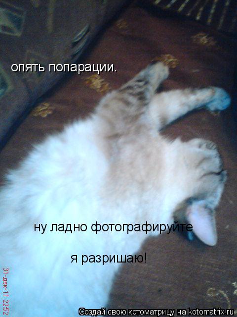 опять попарации. опять попарации. ну ладно фотографируйте я разришаю!... Котоматрица: опять попарации. опять попарации. ну ладно фотографируйте я разришаю!
