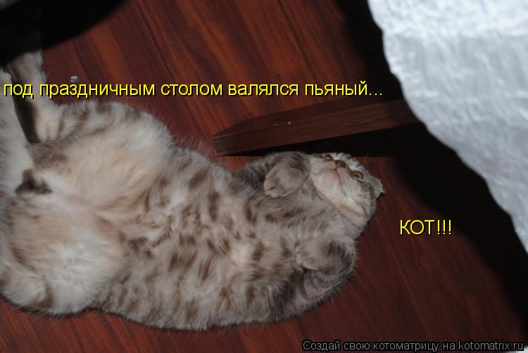 под праздничным столом валялся пьяный... КОТ!!!... Котоматрица: под праздничным столом валялся пьяный... КОТ!!!