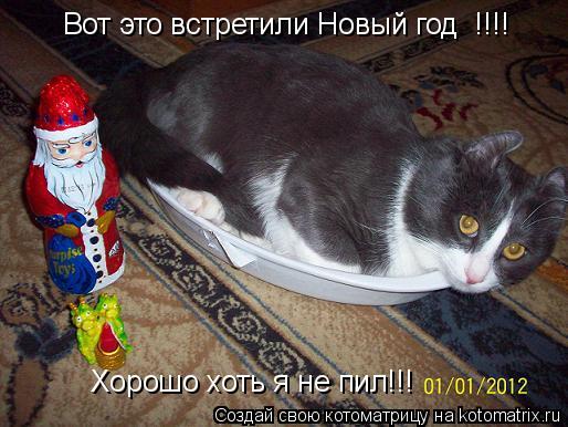 Картинка не пил на новый год Картинка не пил на новый год