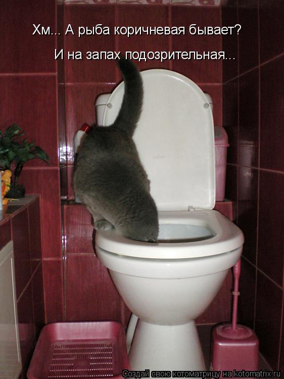 Котоматрица: Хм... А рыба коричневая бывает? И на запах подозрительная...