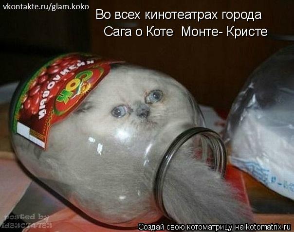 Котоматрица: Во всех кинотеатрах города Сага о Коте  Монте- Кристе