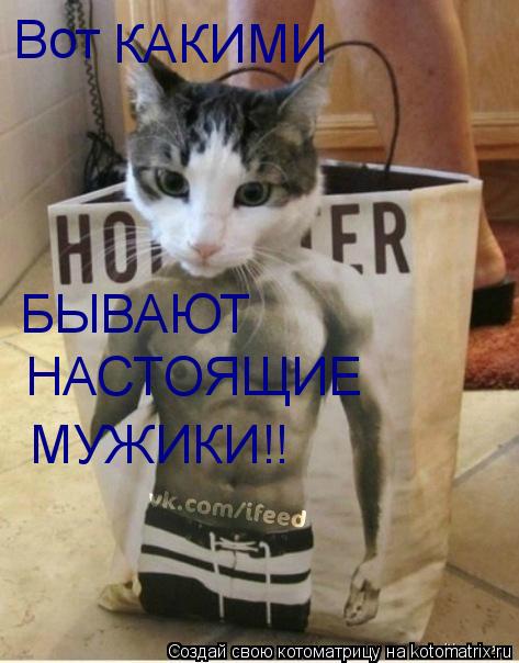 Котоматрица: Вот  КАКИМИ БЫВАЮТ НАСТОЯЩИЕ МУЖИКИ!!