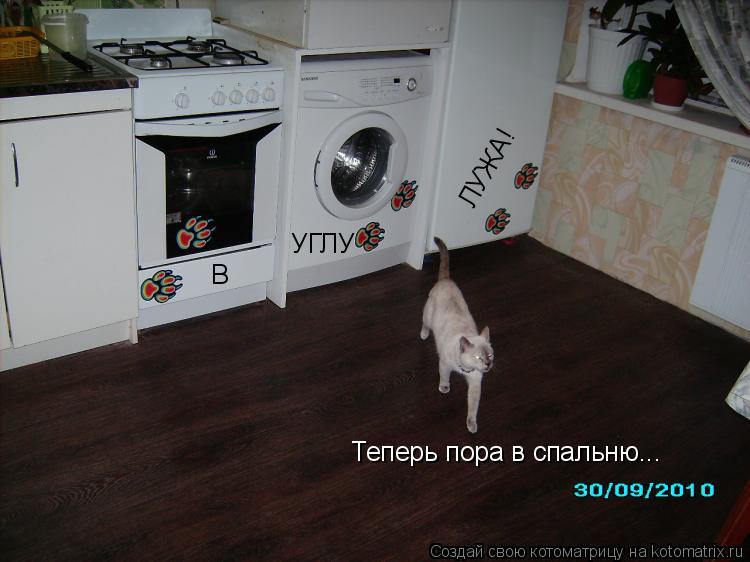 Котоматрица: В  УГЛУ ЛУЖА! Теперь пора в спальню...