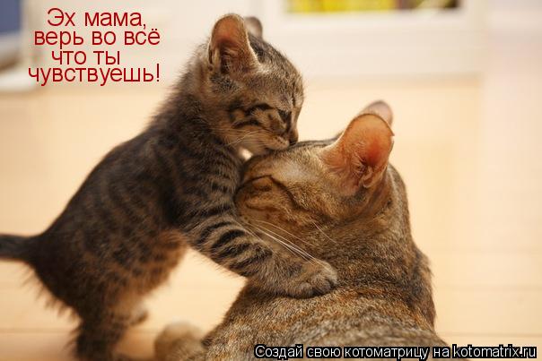 Котоматрица: Эх мама, верь во всё что ты  чувствуешь!