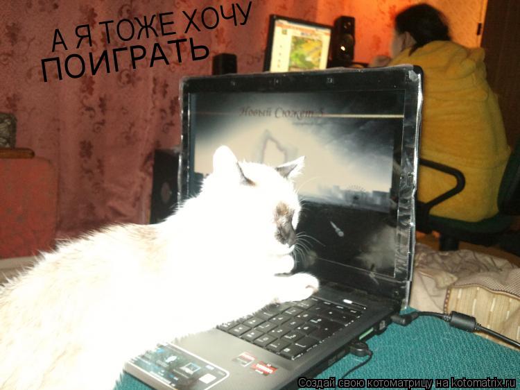 Котоматрица: А Я ТОЖЕ ХОЧУ  ПОИГРАТЬ