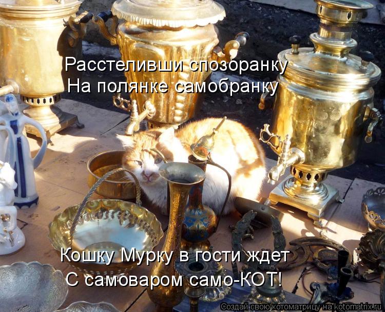 Расстеливши спозоранку Расстеливши спозоранку На полянке самобранку Кошку Мурку в гости ждет С самова... Котоматрица: Расстеливши спозоранку Расстеливши спозоранку На полянке самобранку Кошку Мурку в гости ждет С самоваром само-КОТ!