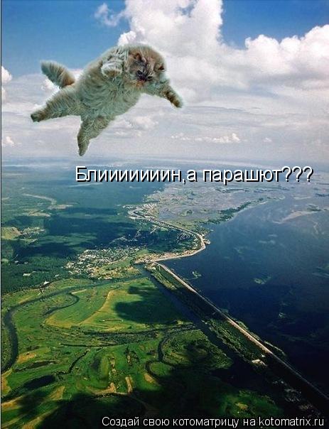 Котоматрица: Блииииииин,а парашют???