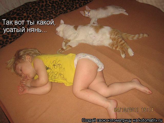 Котоматрица: Так вот ты какой, усатый нянь...