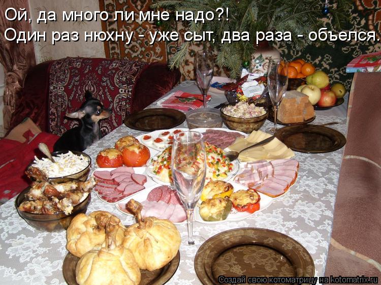 Ой, да много ли мне надо?! Один раз нюхну - уже сыт, два раза - объелся.... Котоматрица: Ой, да много ли мне надо?! Один раз нюхну - уже сыт, два раза - объелся.