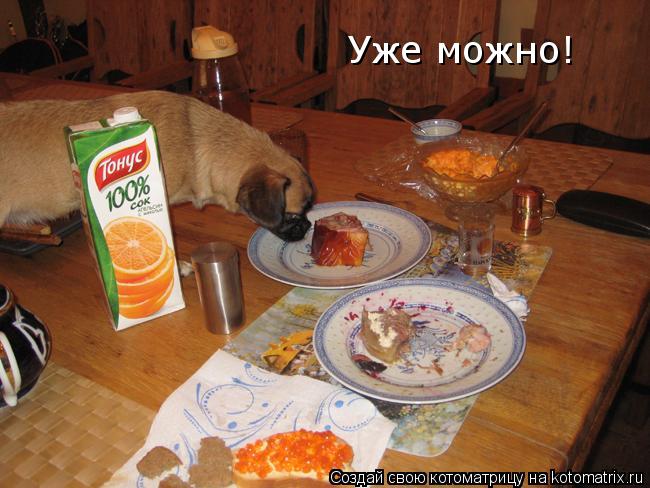 Уже можно!... Котоматрица: Уже можно!
