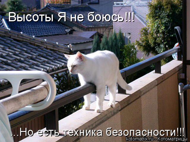 Котоматрица: Высоты Я не боюсь!!! ...Но есть техника безопасности!!!
