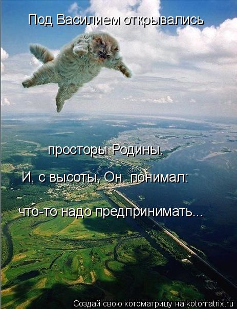 Котоматрица: Под Василием открывались просторы Родины. И, с высоты, Он, понимал: что-то надо предпринимать...