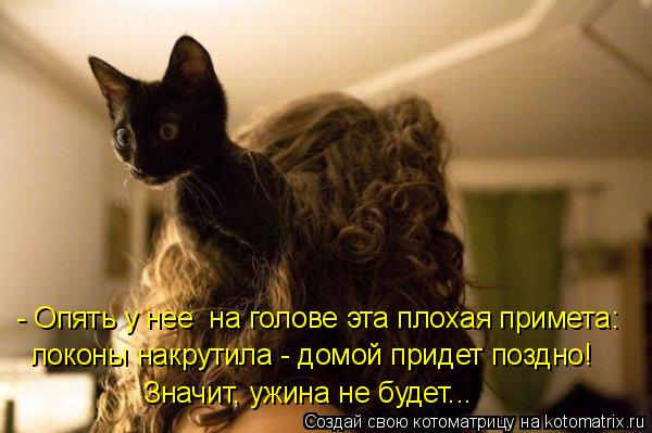 - Опять у нее на голове эта плохая примета: локоны накрутила - домой придет поздно! Значит, ужина не... Котоматрица: - Опять у нее на голове эта плохая примета: локоны накрутила - домой придет поздно! Значит, ужина не будет...