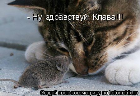 Котоматрица: - Ну, здравствуй, Клава!!!