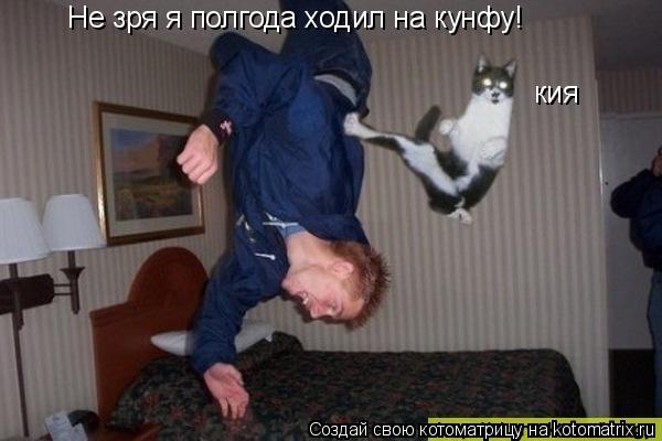 Котоматрица: Не зря я полгода ходил на кунфу! кия