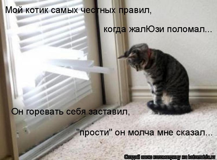 Мой котик самых честных правил, Он горевать себя заставил, когда жалЮзи поломал... "прости" он молча ... Котоматрица: Мой котик самых честных правил, Он горевать себя заставил, когда жалЮзи поломал... "прости" он молча мне сказал...