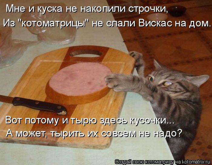 Котоматрица: Вот потому и тырю здесь кусочки... А может, тырить их совсем не надо? Мне и куска не накопили строчки,  Из "котоматрицы" не слали Вискас на дом.